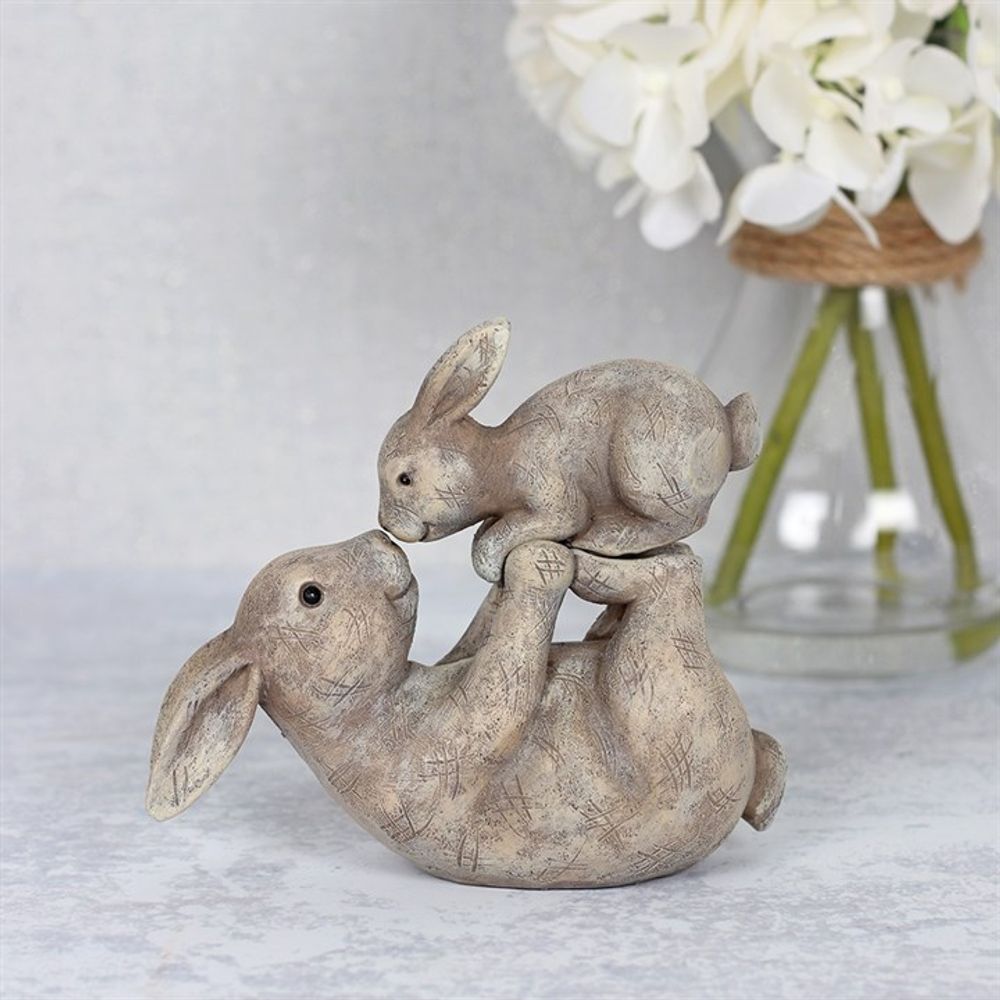 Some Bunny Loves You Ornament